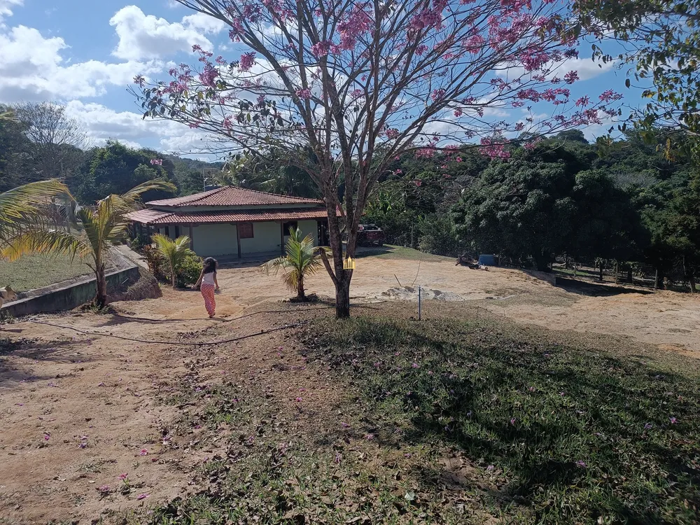 Sítio, 4 quartos, 10000 m² - Foto 1