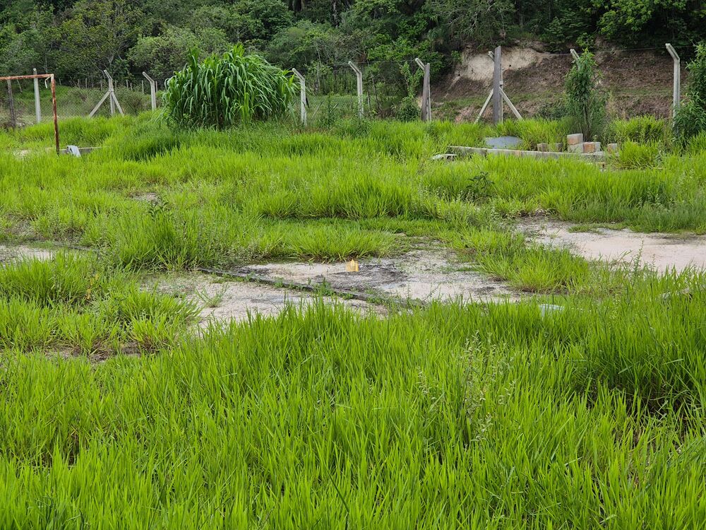 Fazenda, 9 hectares - Foto 8