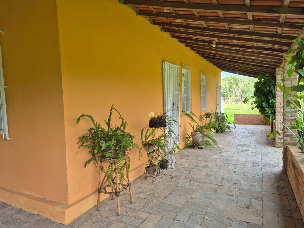 Fazenda, 4 hectares - Foto 9