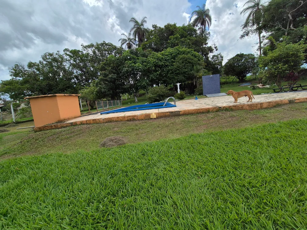 Fazenda, 6 hectares - Foto 11