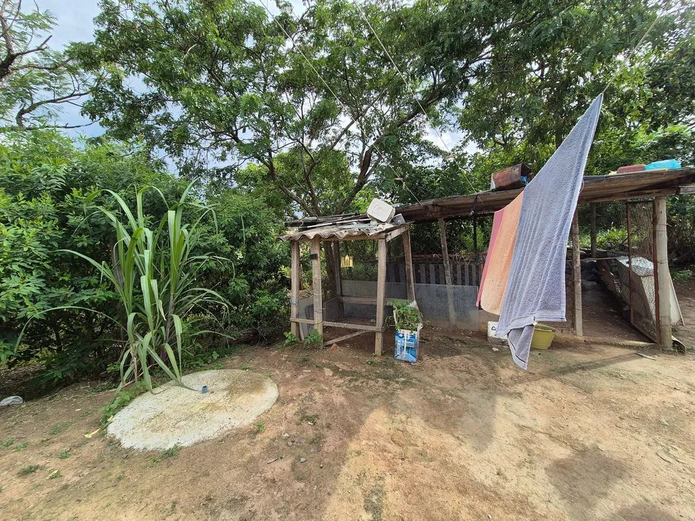 Fazenda, 4 hectares - Foto 10