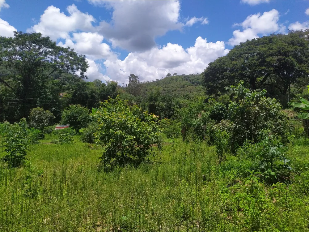 Terreno, 1130 m² - Foto 9