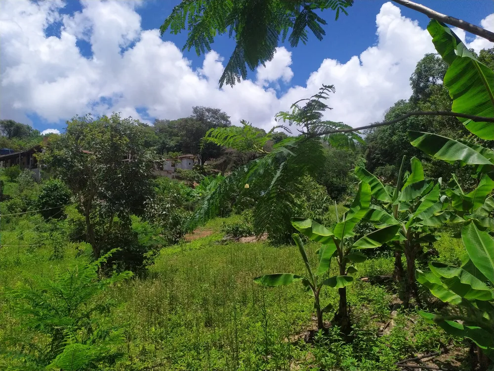 Terreno, 1130 m² - Foto 9