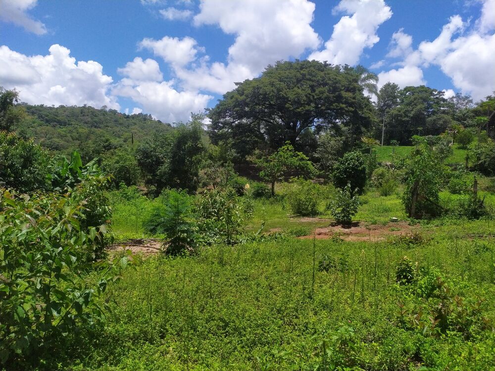 Terreno, 1130 m² - Foto 3