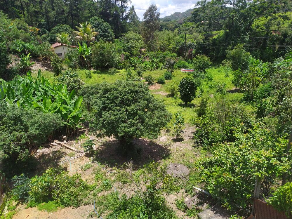 Terreno, 1130 m² - Foto 8