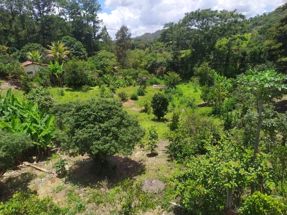 Terreno, 1130 m² - Foto 10