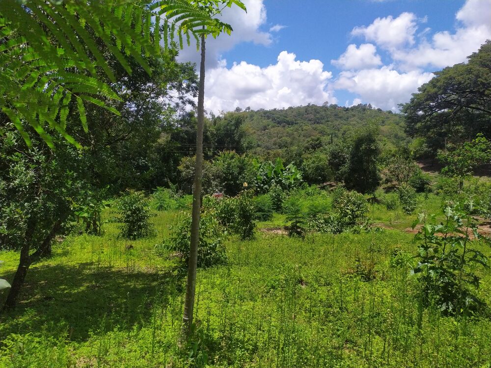 Terreno, 1130 m² - Foto 5