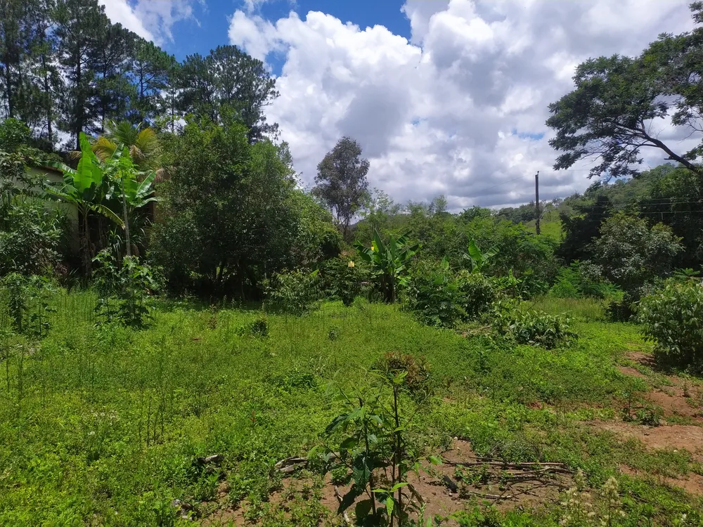 Terreno, 1130 m² - Foto 12