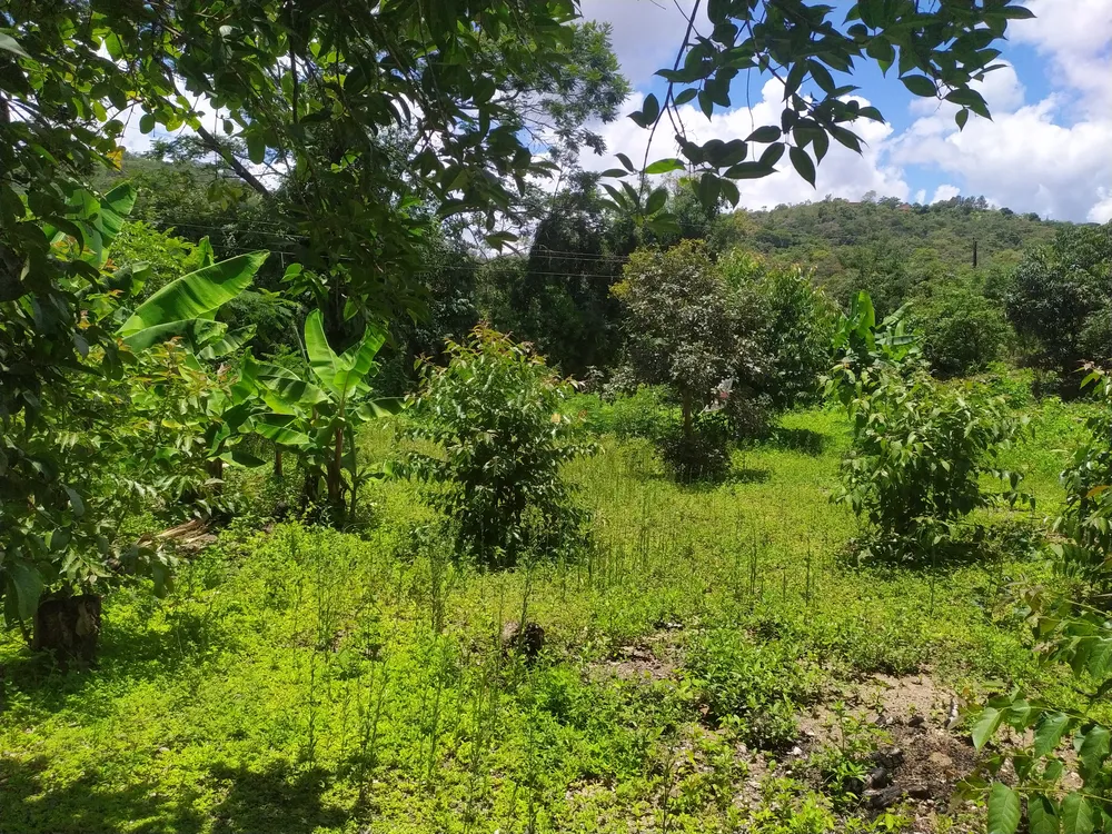 Terreno, 1130 m² - Foto 11