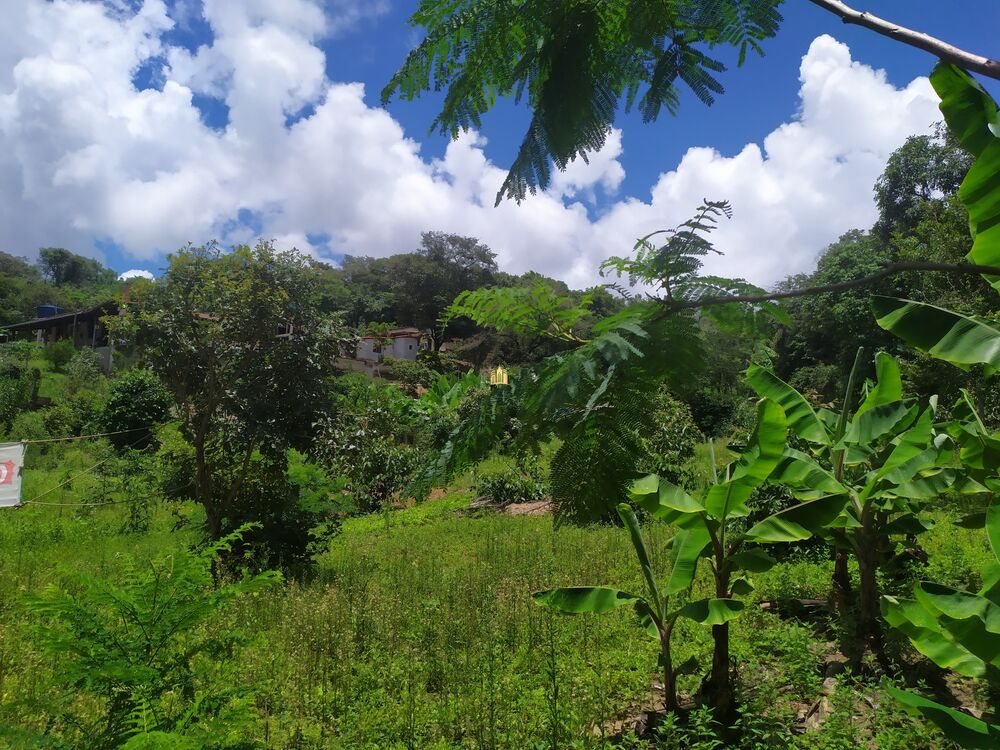 Terreno, 1130 m² - Foto 1