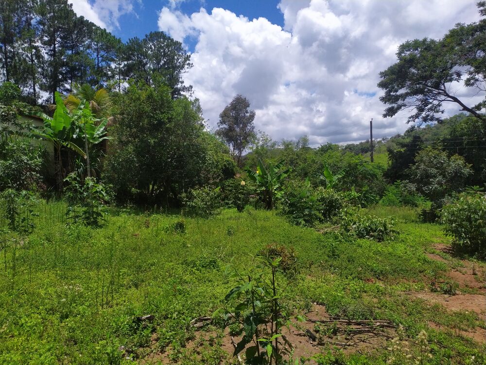 Terreno, 1130 m² - Foto 6