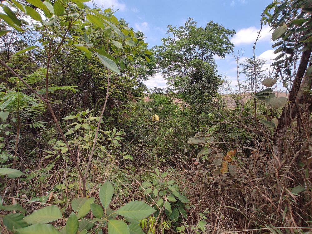 Terreno à venda, 600m² - Foto 12