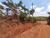 Terreno, 600 m² - Foto 11