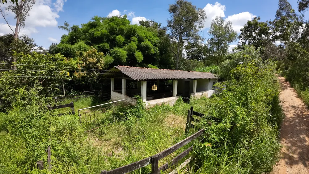 Sítio, 7 quartos, 11 hectares - Foto 8