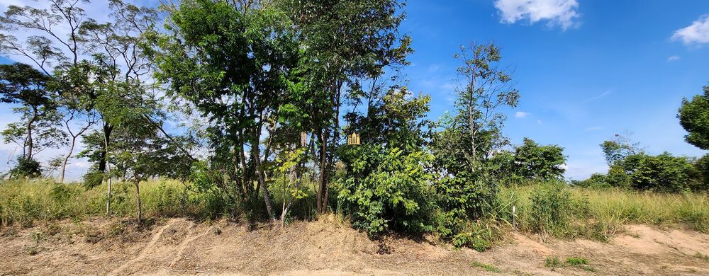 Terreno, 1423 m² - Foto 6
