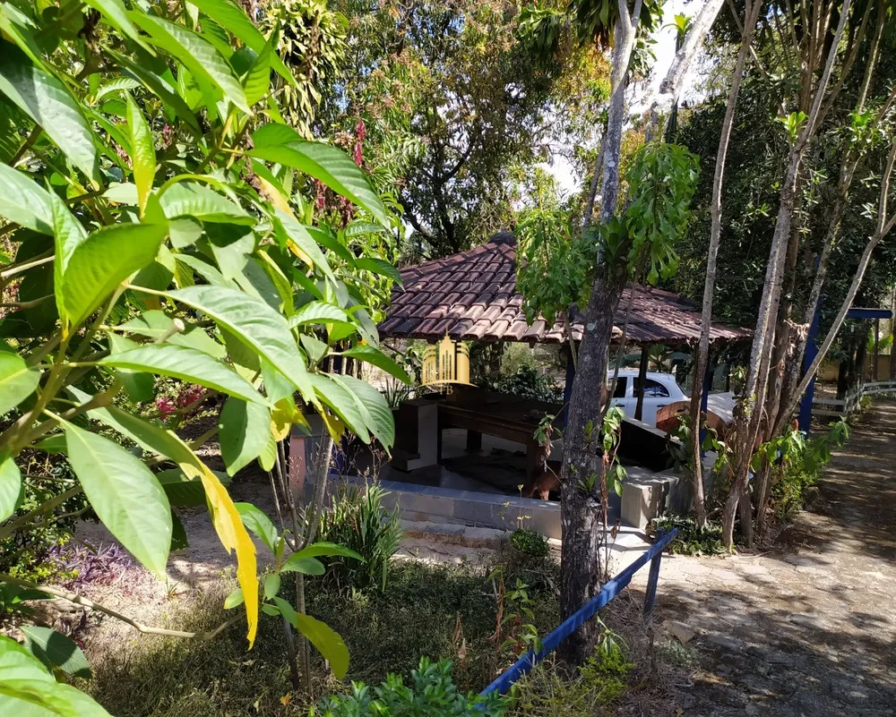 Sítio, 3 quartos, 4000 m² - Foto 11