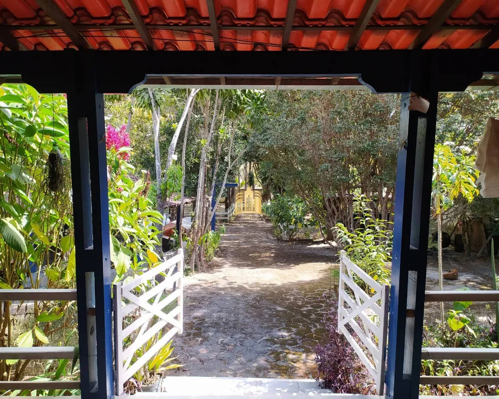 Sítio, 3 quartos, 4000 m² - Foto 2