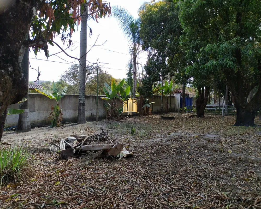 Sítio, 3 quartos, 4000 m² - Foto 4
