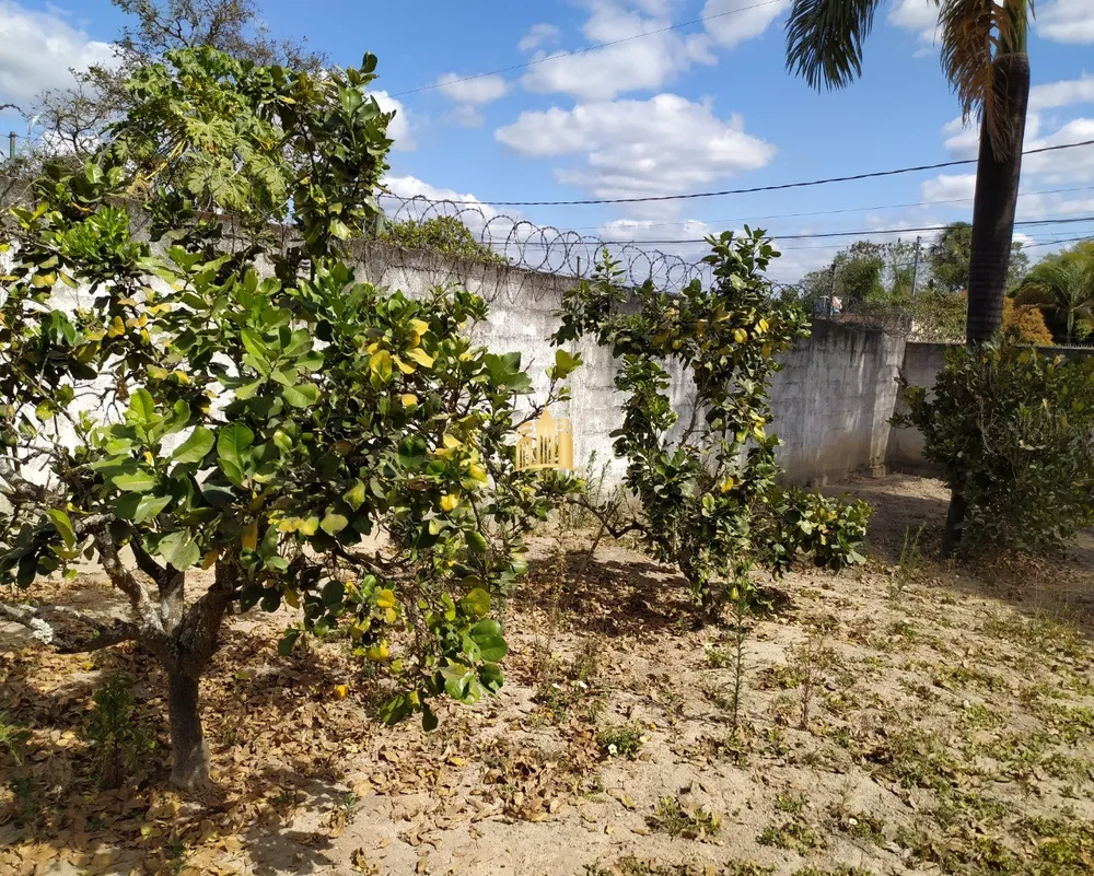 Sítio, 3 quartos, 4000 m² - Foto 1