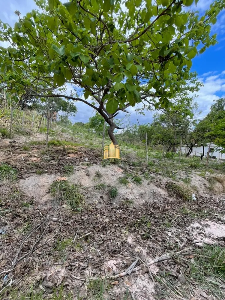 Terreno, 360 m² - Foto 9