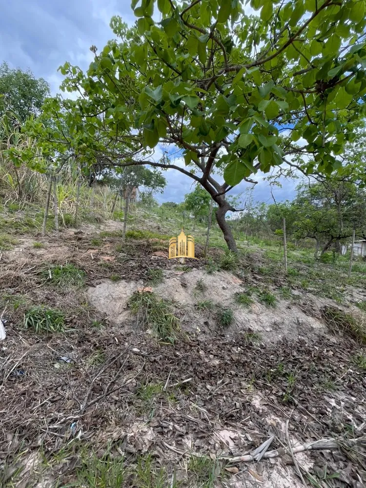 Terreno, 360 m² - Foto 11