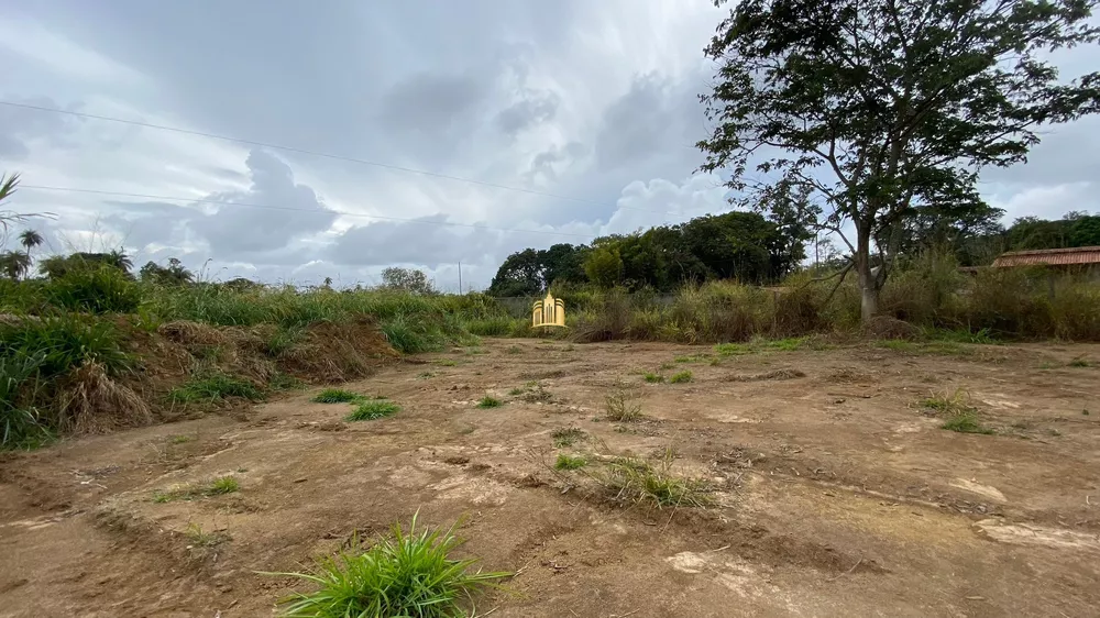 Terreno à venda, 2500m² - Foto 3