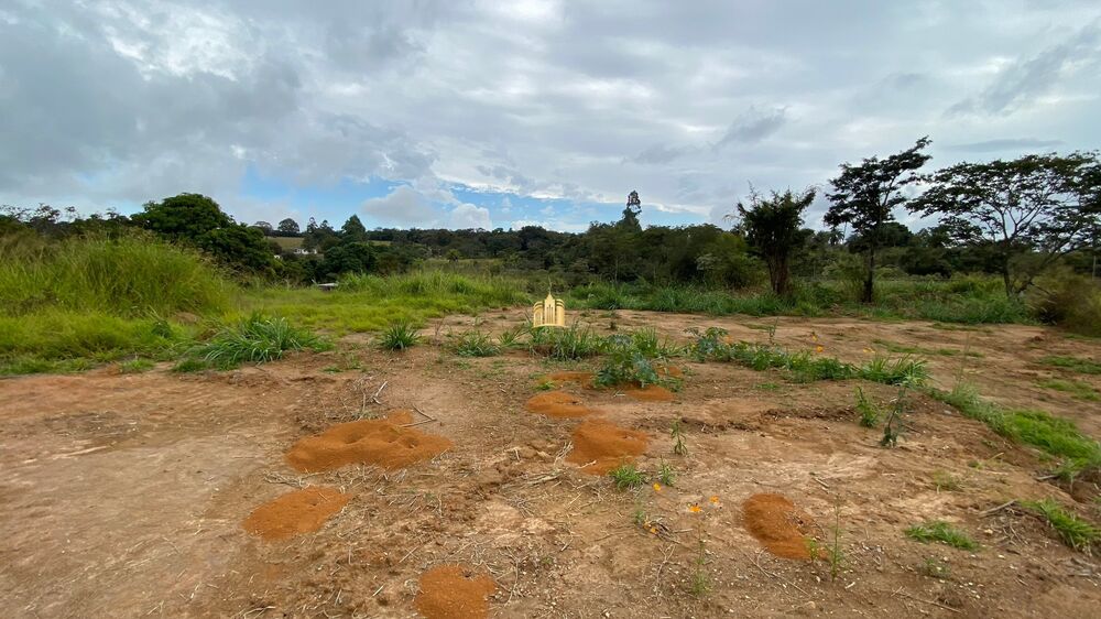 Terreno, 2500 m² - Foto 6