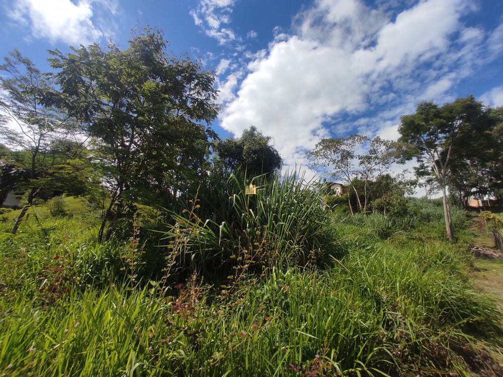 Terreno à venda, 1670m² - Foto 5