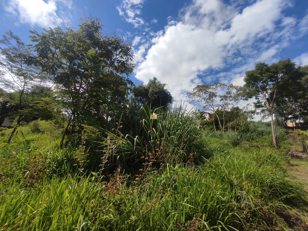 Terreno, 1670 m² - Foto 15