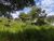 Terreno, 1670 m² - Foto 4