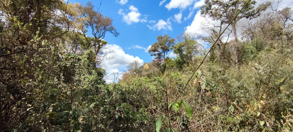 Terreno, 2 hectares - Foto 12