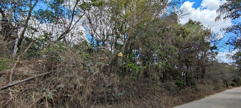 Terreno, 2 hectares - Foto 6