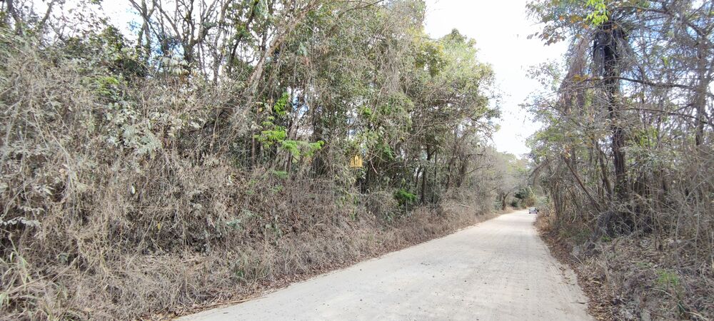 Terreno, 2 hectares - Foto 7