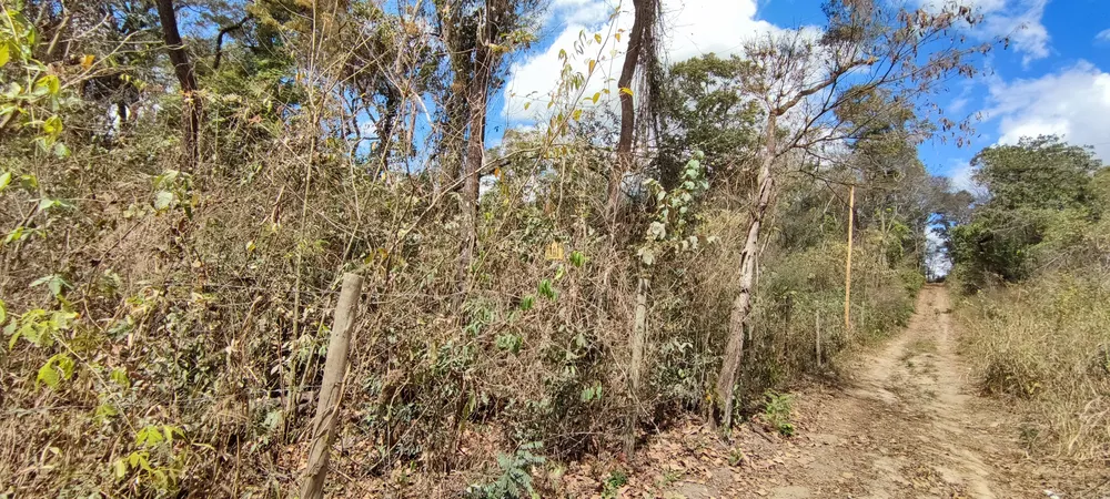 Terreno, 2 hectares - Foto 11