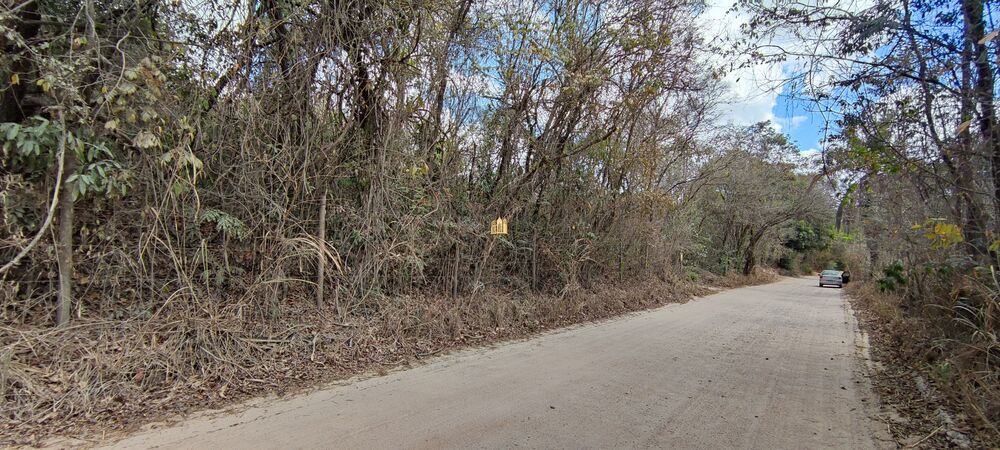 Terreno, 2 hectares - Foto 3