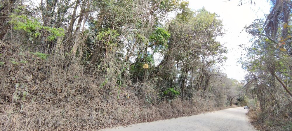 Terreno, 2 hectares - Foto 8