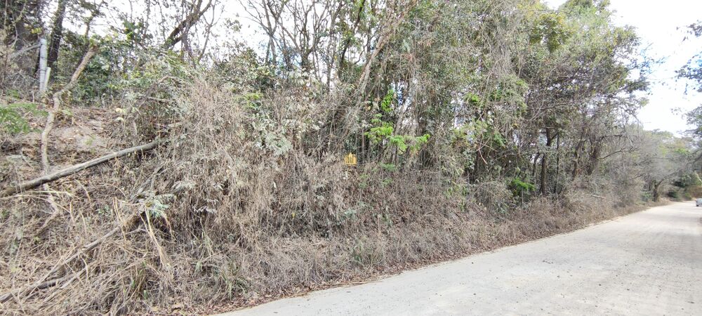 Terreno, 2 hectares - Foto 5