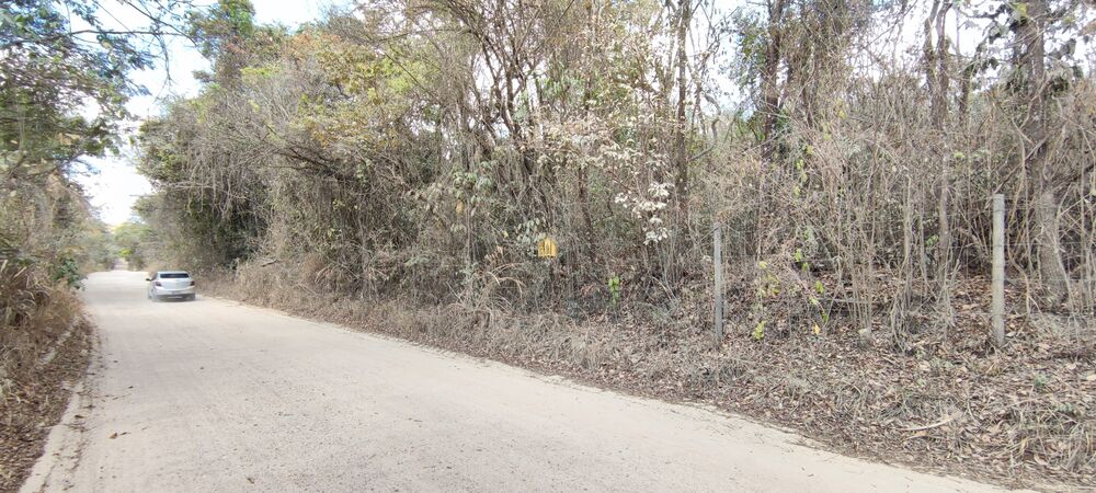 Terreno, 2 hectares - Foto 2