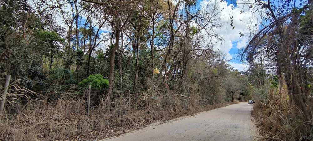 Terreno, 2 hectares - Foto 4