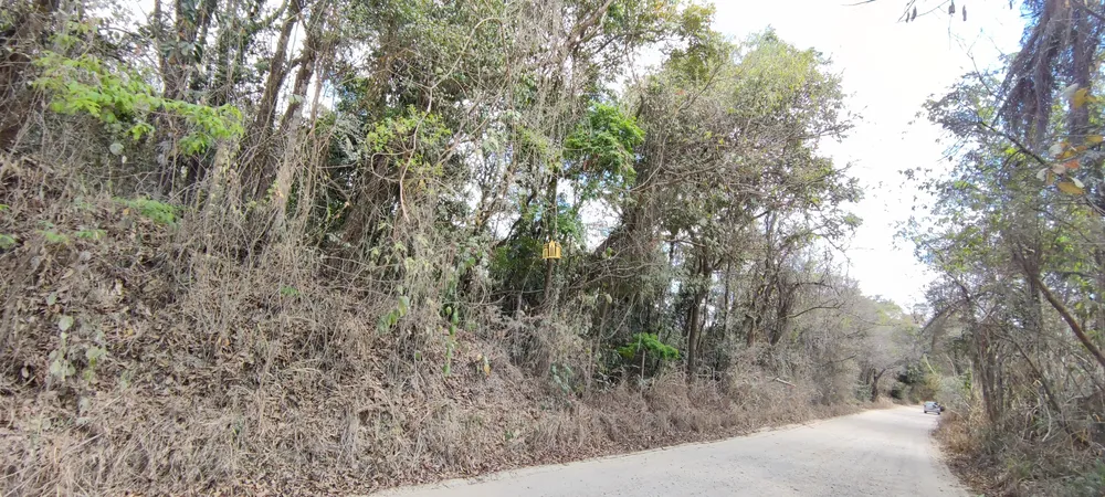 Terreno, 2 hectares - Foto 19