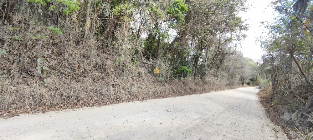 Terreno, 2 hectares - Foto 18