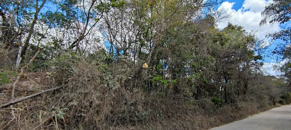 Terreno, 2 hectares - Foto 16