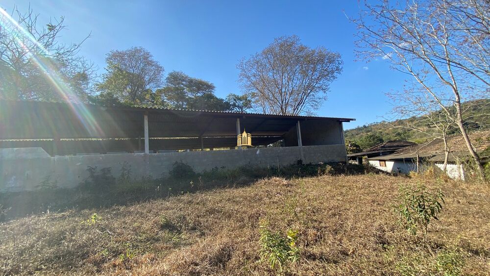 Fazenda, 71 hectares - Foto 7