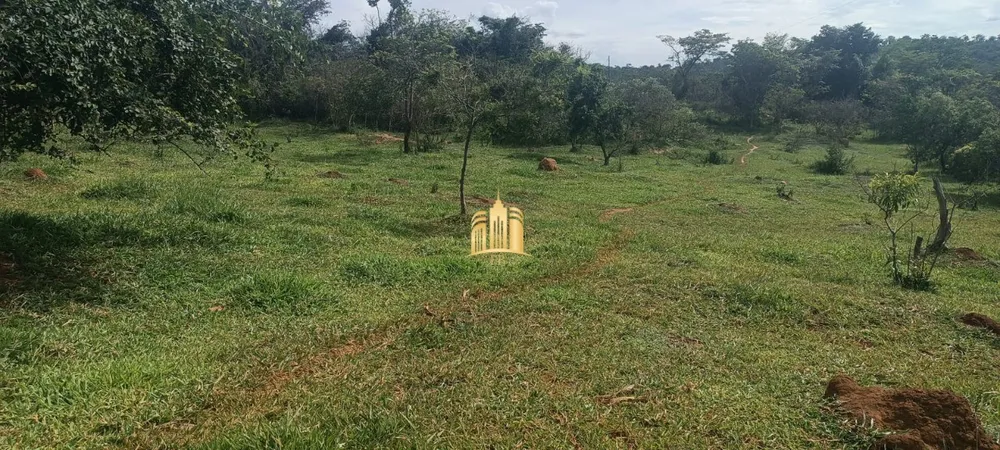 Terreno, 3 hectares - Foto 2