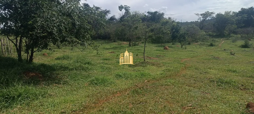 Terreno, 3 hectares - Foto 12