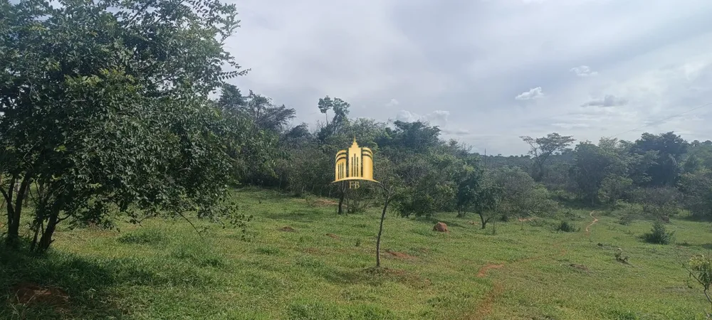 Terreno, 3 hectares - Foto 9