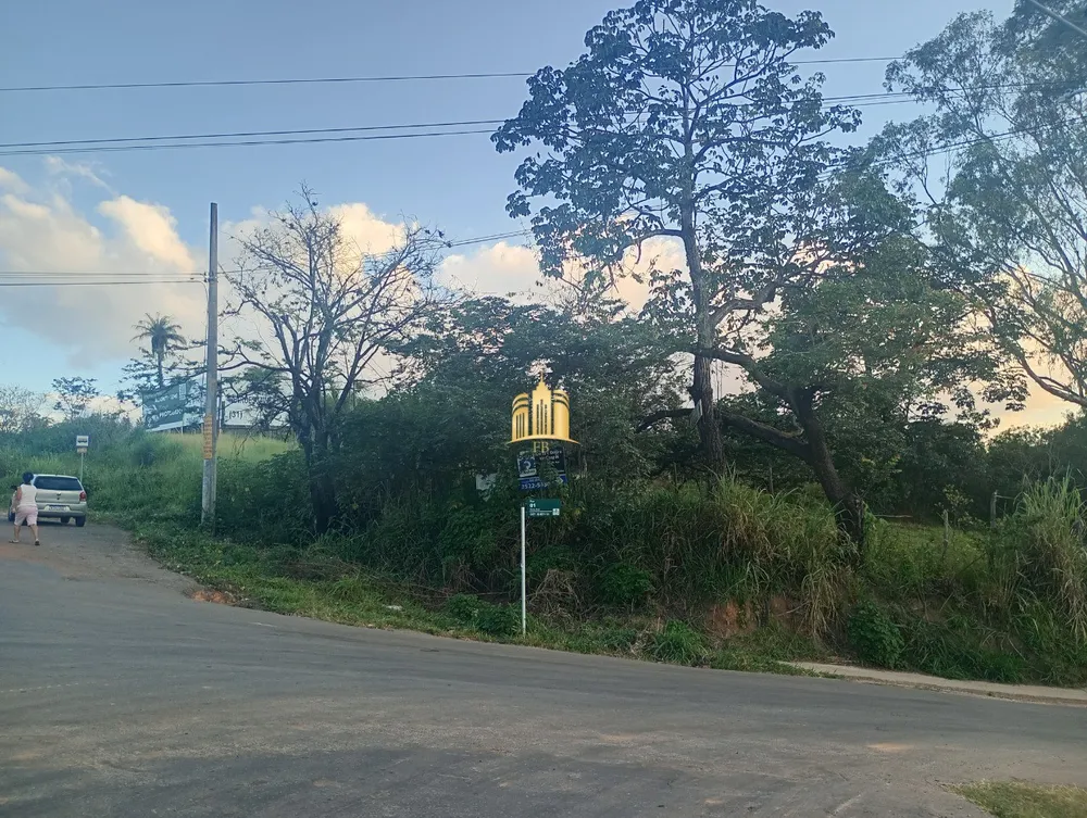 Terreno, 3 hectares - Foto 3
