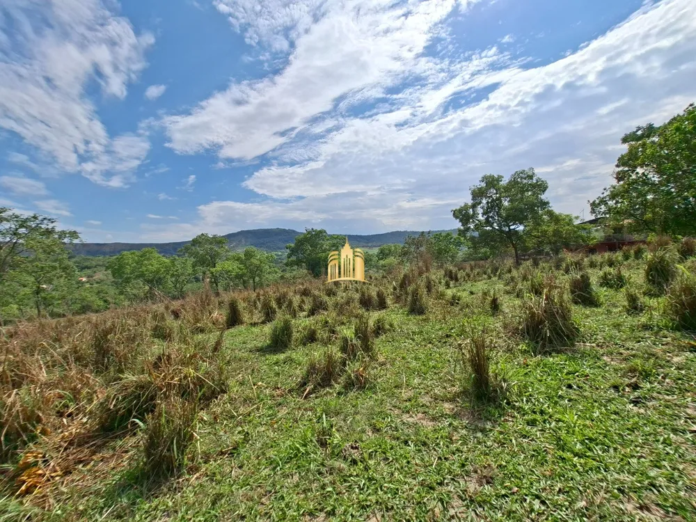 Terreno, 6 hectares - Foto 4