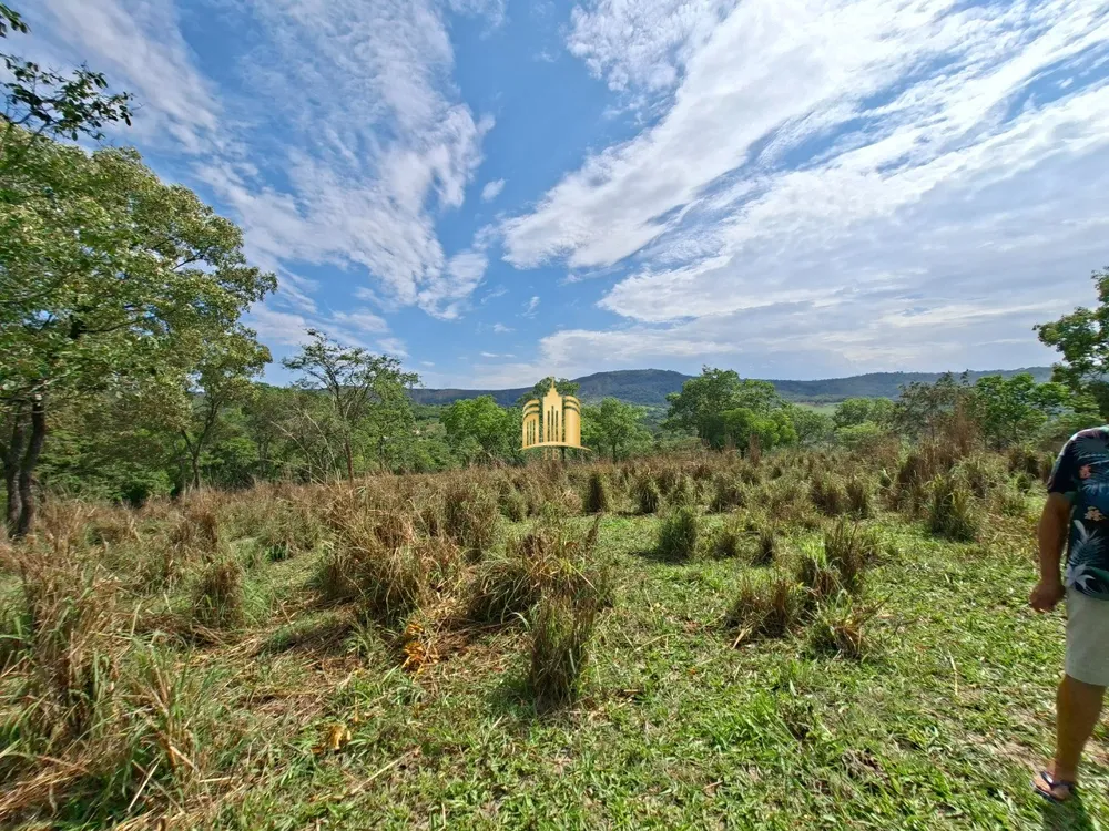 Terreno, 6 hectares - Foto 3