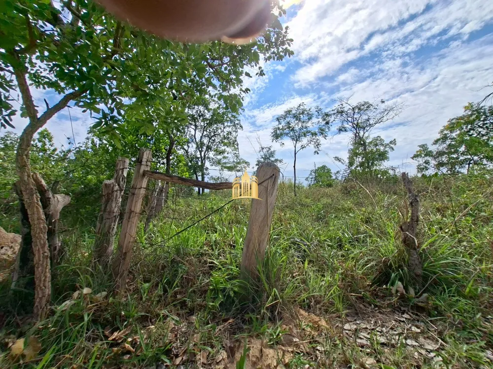 Terreno, 6 hectares - Foto 1